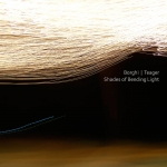 Borghi + Teager - Shades of Bending Light
