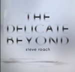 Steve Roach - The Delicate Beyond