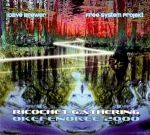 Various Artists - Ricochet Gathering Okefenokee 2000