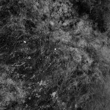 Adeptus Mechanicus - K g B 8 2 w