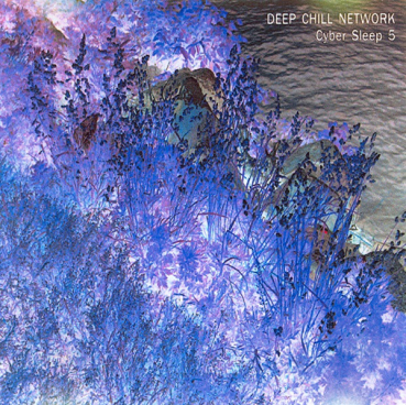 Deep Chill Network - Cyber Sleep 5
