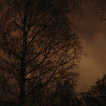 Mathias Grassow - The Nightquest Sessions
