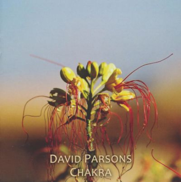 David Parsons - Chakra