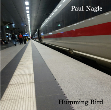 Paul Nagle - Humming Bird
