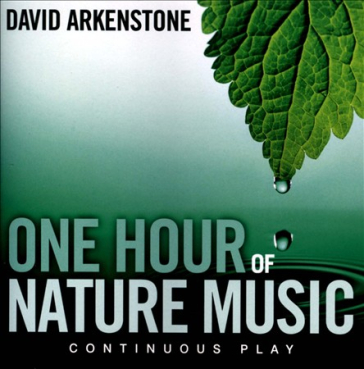 David Arkenstone - One Hour of Nature Music