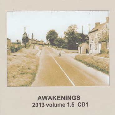 Various Artists - Awakenings 2013 Volume 1.5  (2 CD)