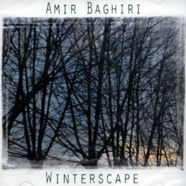 Amir Baghiri - Winterscape
