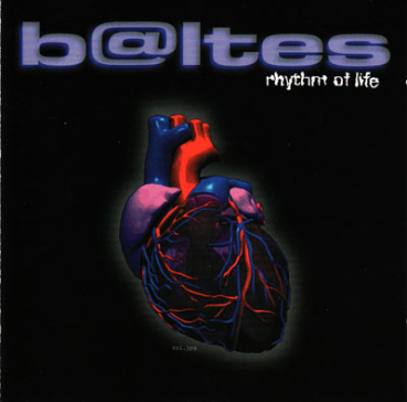 Steve Baltes - Rhythm of Life