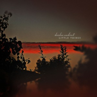 Darshan Ambient - Little Things