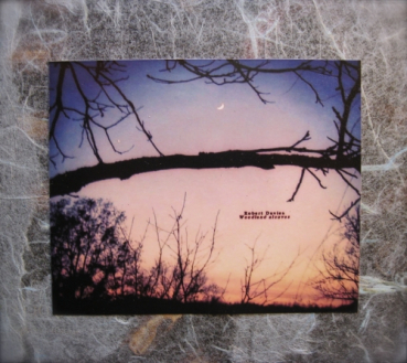 Robert Davies - Woodland Alcoves