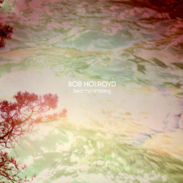 Bob Holroyd - Beachcombing