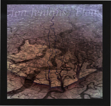 Jon Jenkins - Flow