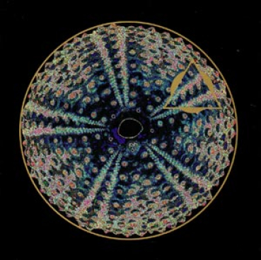 David Reeves - Otras 2