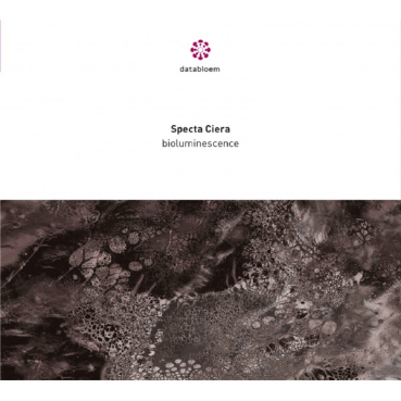 Spectra Ciera - Bioluminescence