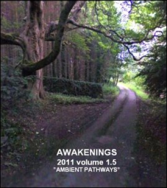 Various Artists - Awakenings 2011 Volume 1.5