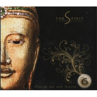 V/A - The Spirit Musik für die Sinne Vol. 6