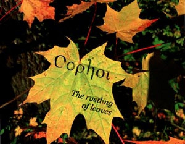 Oöphoi - The Rustling Of Leaves