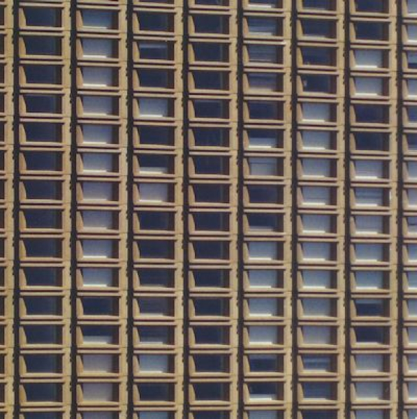 Alpha Wave Movement - Within Reason - Transient Broadcasts