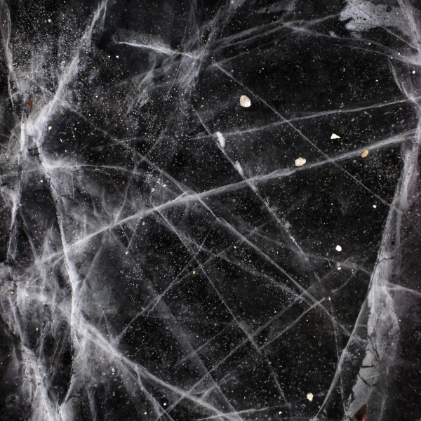 Adeptus Mechanicus - Frozen