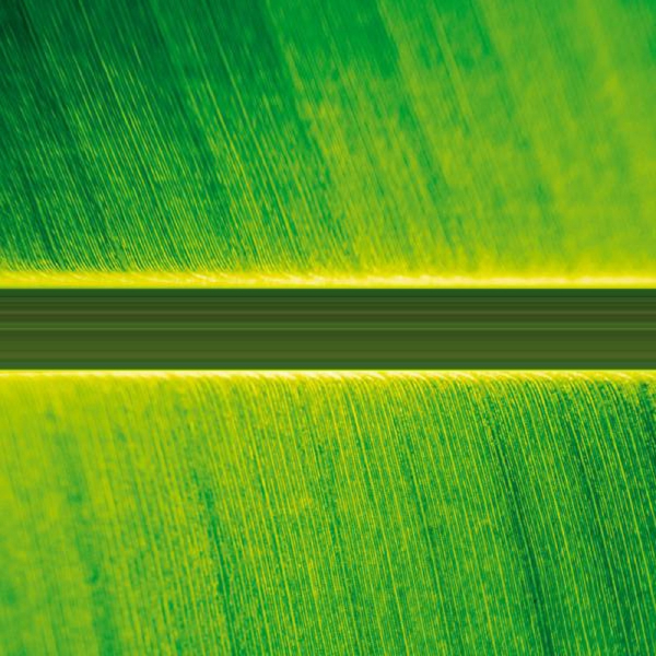 Adeptus Mechanicus - Sessions 2K20