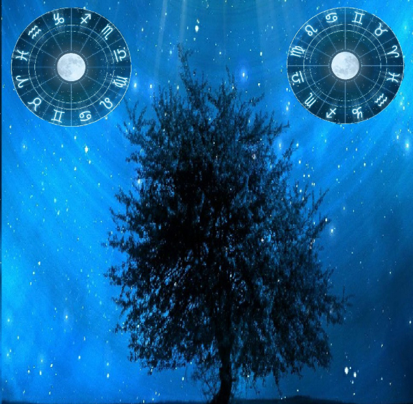 Adeptus Mechanicus - Zodiacs Vol 2