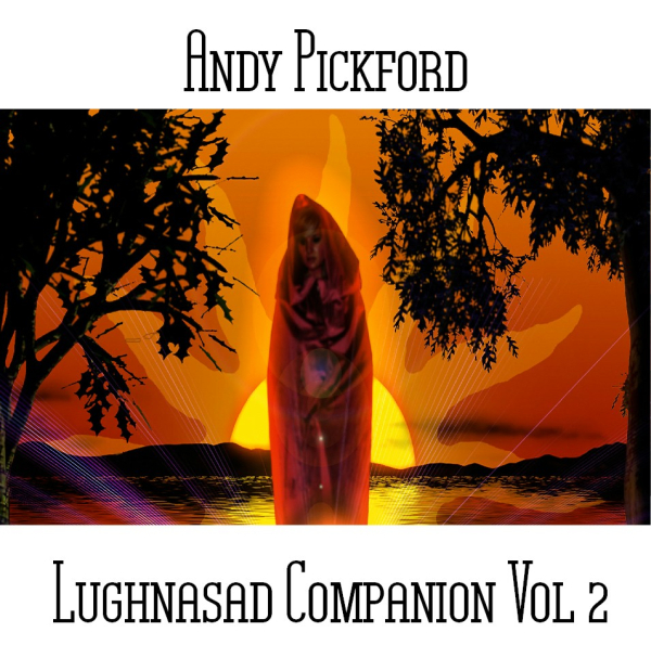 Andy Pickford - Lughnasad Companion Vol. 2