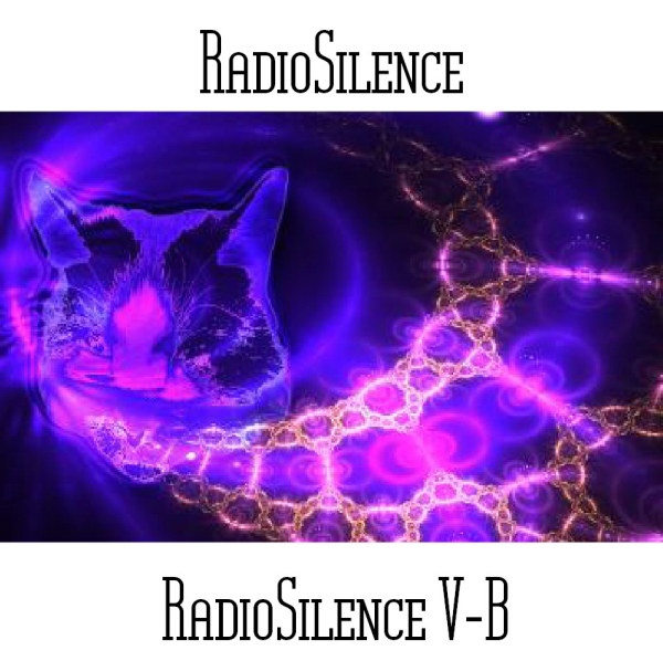 Andy Pickford - RadioSilence V-B