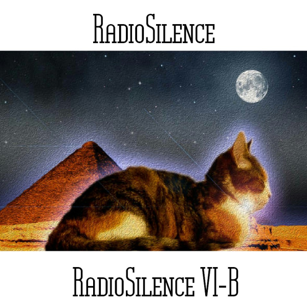 Andy Pickford - RadioSilence VI-B