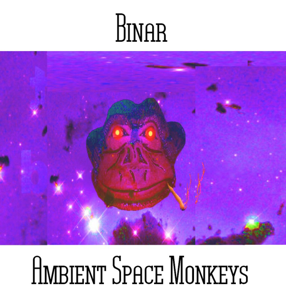 Binar (Pickford & Nagle) - Ambient Space Monkeys