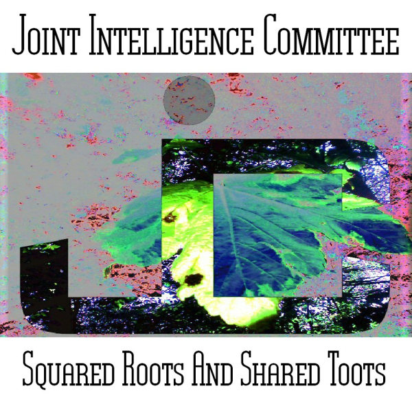 Joint Intelligence Committee ( Paul Nagle & Phil Smillie) - Squared Roots and Shared Toots