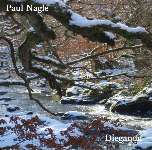 Paul Nagle - Dieganon