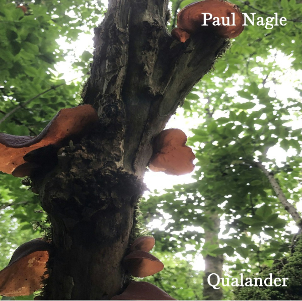 Paul Nagle - Qualander