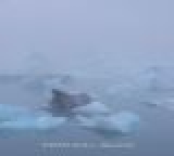 Stefano Scala - Metamorfosi