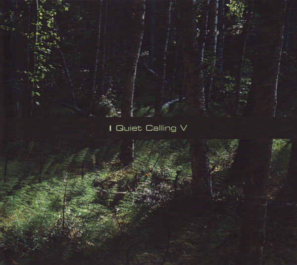 Mathias Grassow + Tomas Weiss - Quiet Calling V (2CD)