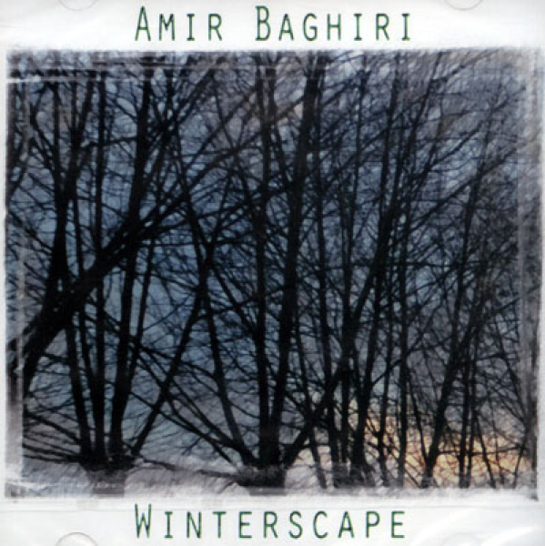 Amir Baghiri - Winterscape