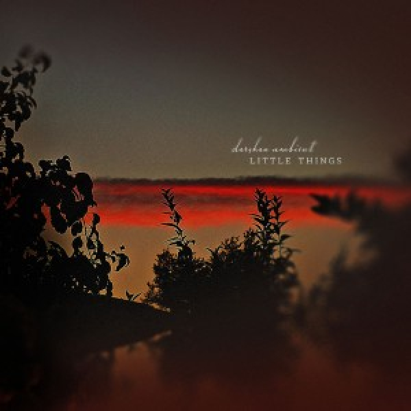 Darshan Ambient - Little Things