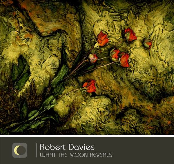 Robert Davies - What the Moon Reveals