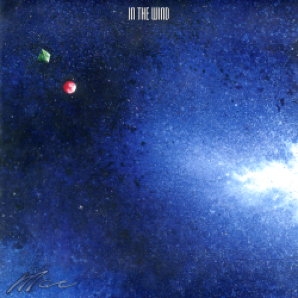 Mac of BIOnighT - In the Wind