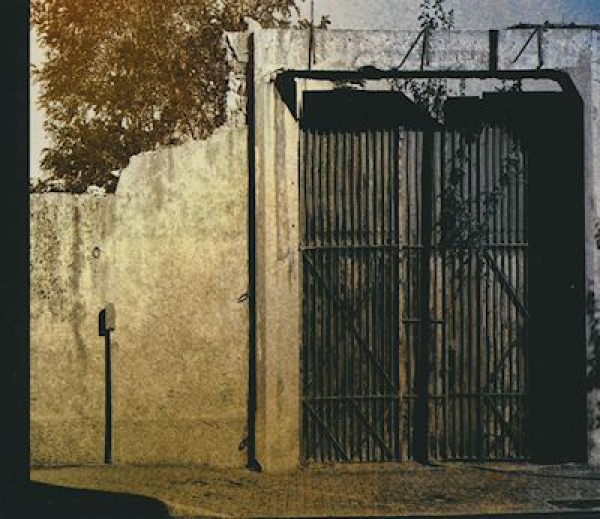 Mac of BIOnight - Wasted