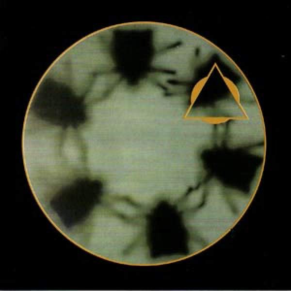 Dandy Jack + Victor Sol - XJacks