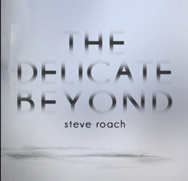 Steve Roach - The Delicate Beyond