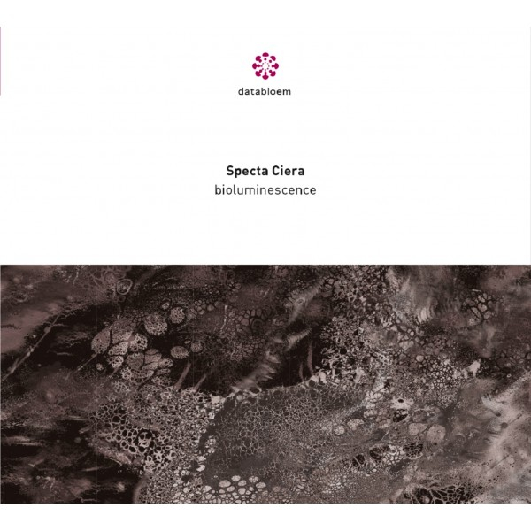 Spectra Ciera - Bioluminescence
