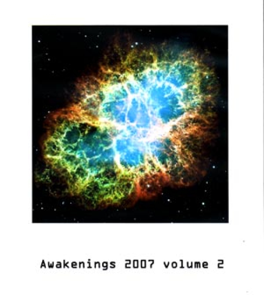 Various Artists - Awakenings 2007 Volume 2