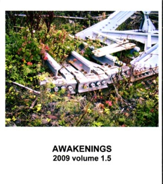 Various Artists - Awakenings 2009 Volume 1.5