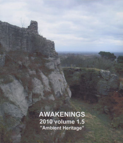 Various Artists - Awakenings 2010 Volume 1.5