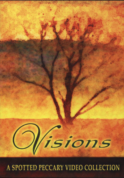 V/A - Visions DVD