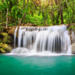 Adeptus Mechanicus - The Rainforest