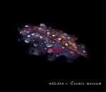 Aglaia - Cosmic Museum