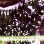 Alio Die + Werner Durand - Aqua Planing