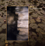 Alio Die - Suspended Feathers